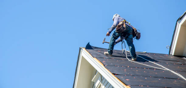 Gutter Installation and Roofing in Windermere, FL